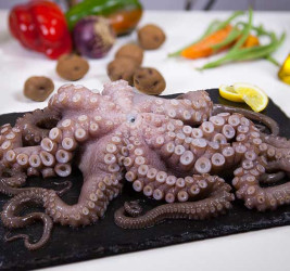 Pulpo nº 2 (bandeja 1,2 a...
