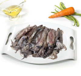 Chipirones nº 5 (patagónico)