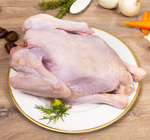 Pavo entero pequeño 4.6 kg