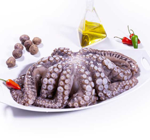Pulpo nº 0  (bandeja de 3/4kg)