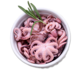 Pulpo flor pequeño