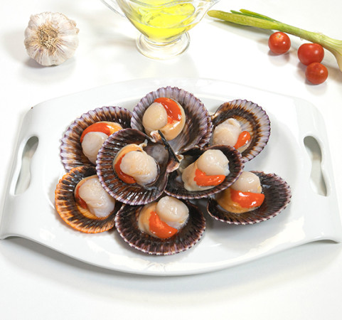 Vieira del Pacífico media concha (20/30 uds/kg)