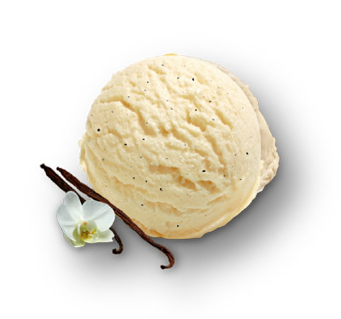 Tarrina de sabor Vainilla 4,8L